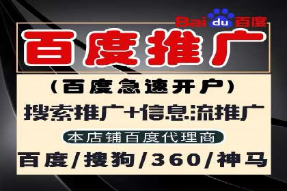 行业领先企业的SEM运营推广实战